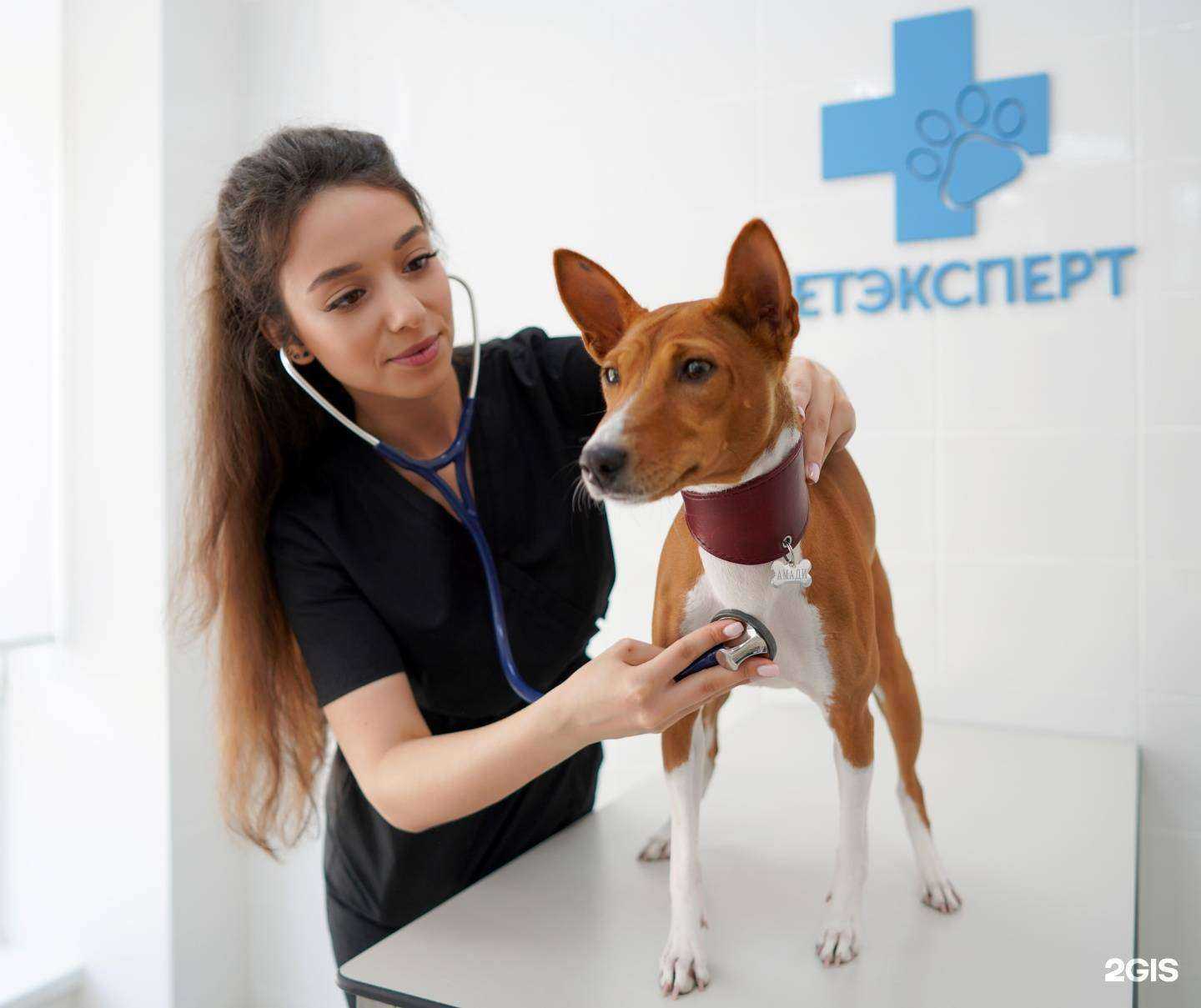 Отзывы на компанию ВетЭксперт в Владимире c фото