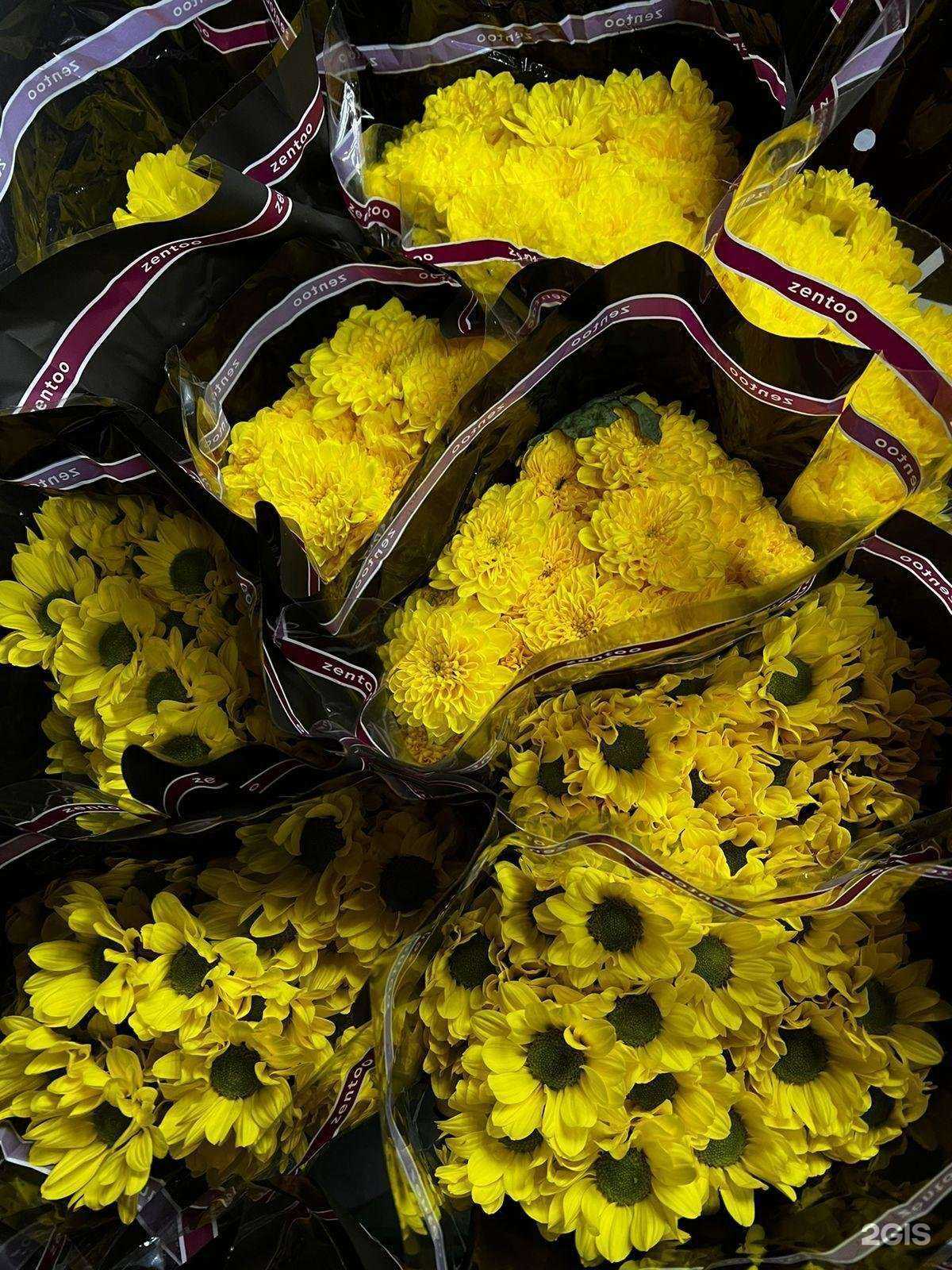 Отзывы на компанию Mrf Group в г. Новороссийск c фото