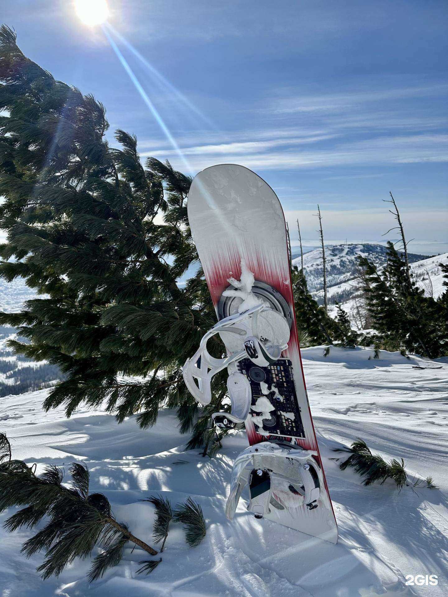 Отзывы на компанию Bordak в г. Кемерово c фото