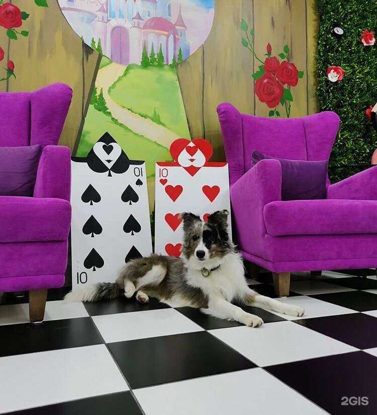 Отзывы на компанию Кадику в Нижневартовске c фото