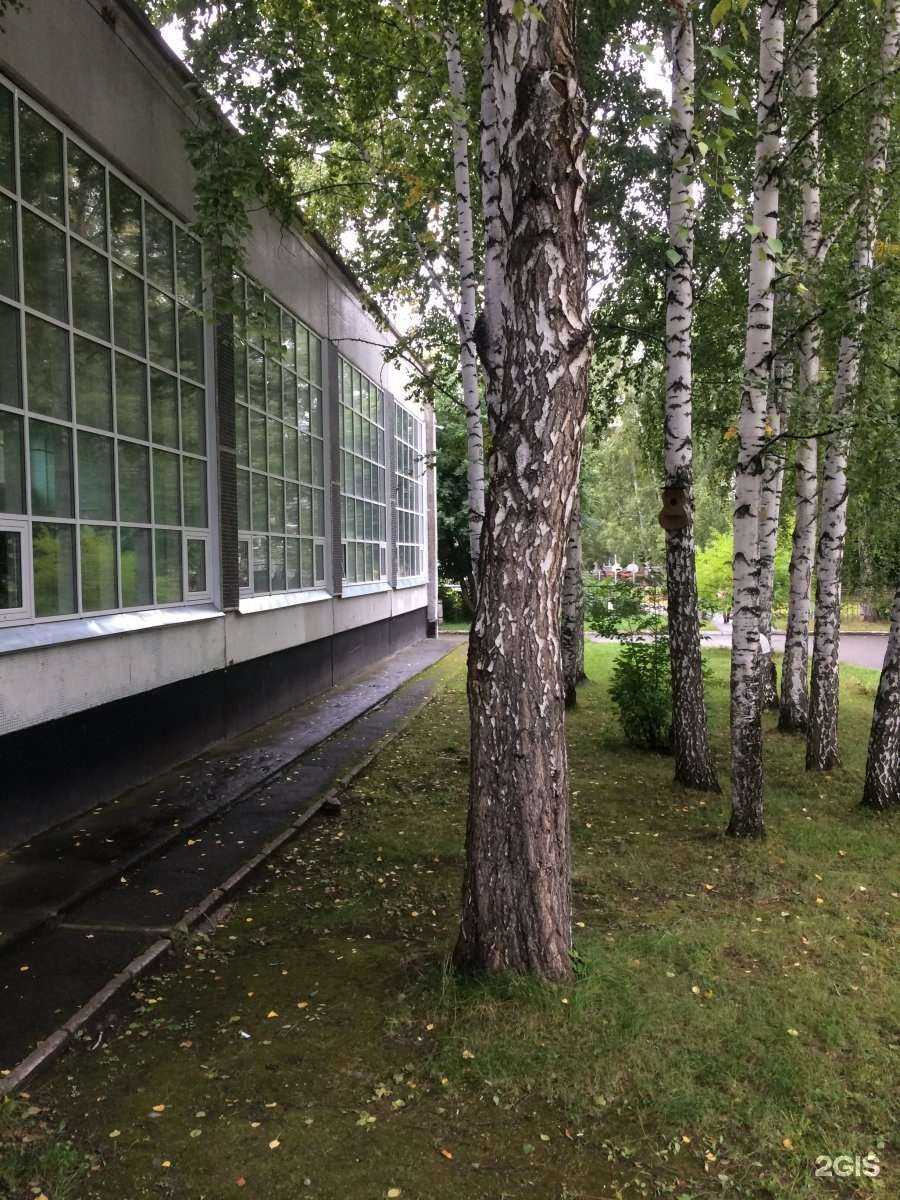 Отзывы на компанию Средняя школа №108 в Новосибирске c фото