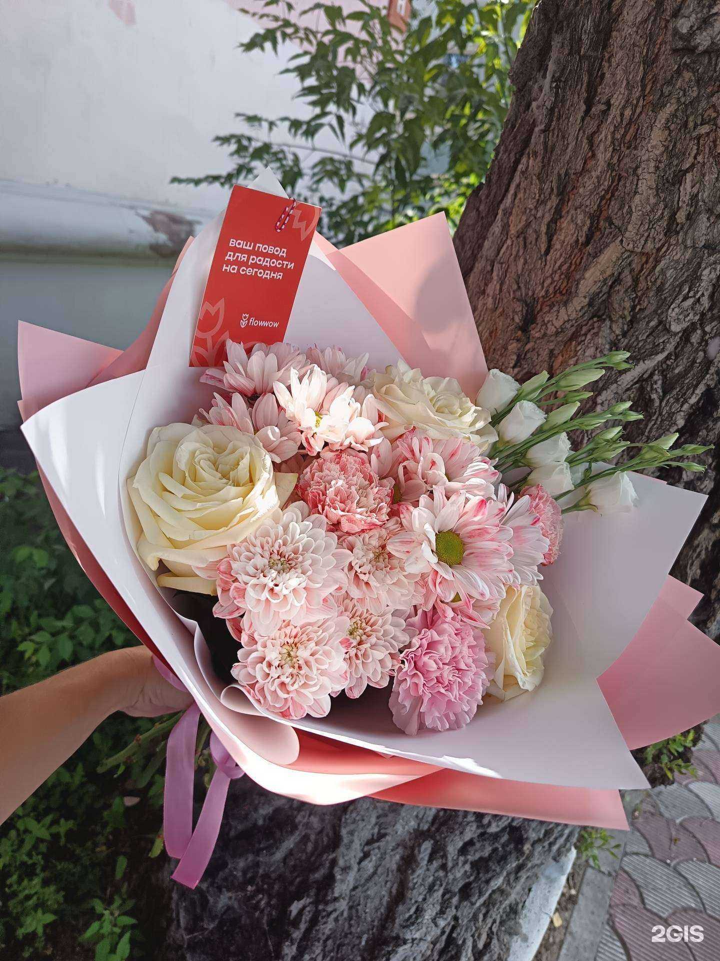 Отзывы на компанию Анемон.kms в Комсомольске-на-Амуре c фото