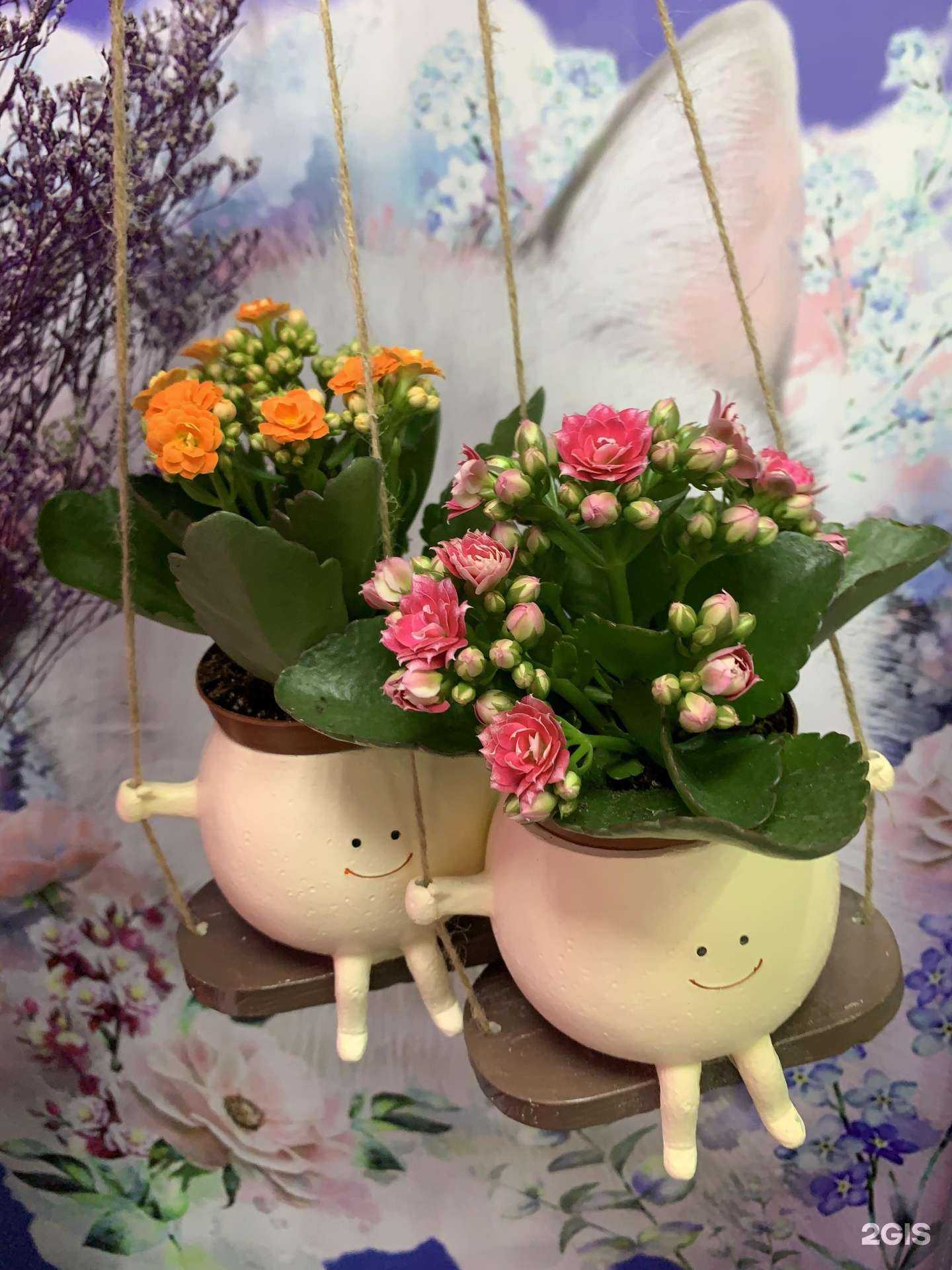 Отзывы на компанию Цветы у Тамары в Иркутске c фото