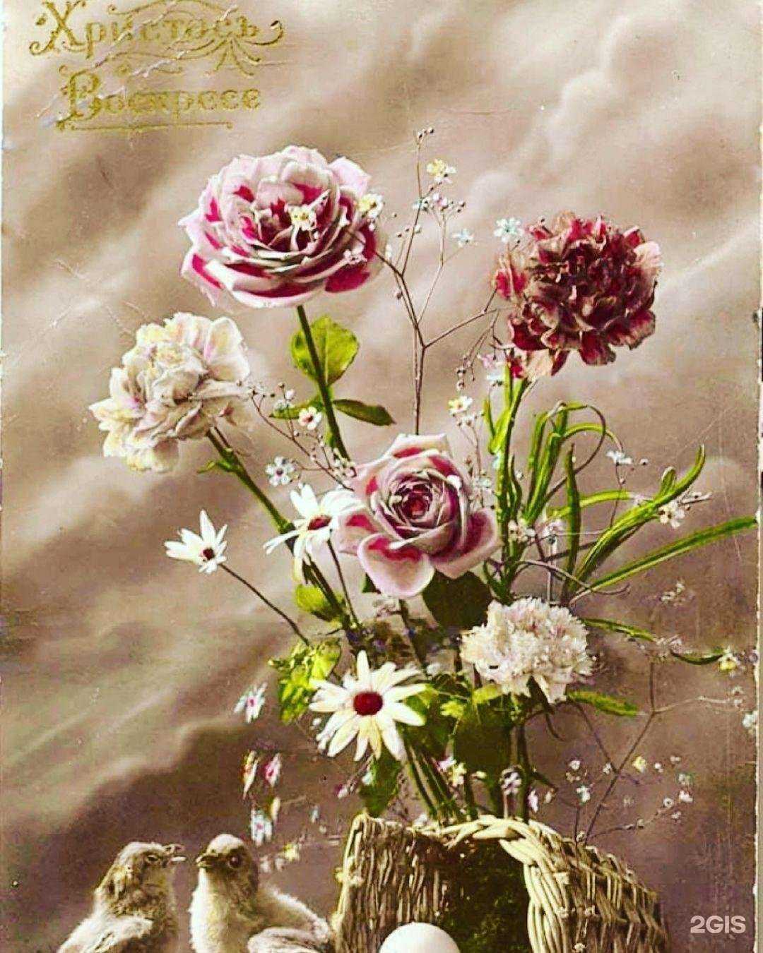 Отзывы на компанию Элит Дентал М в г. Ростов-на-Дону c фото