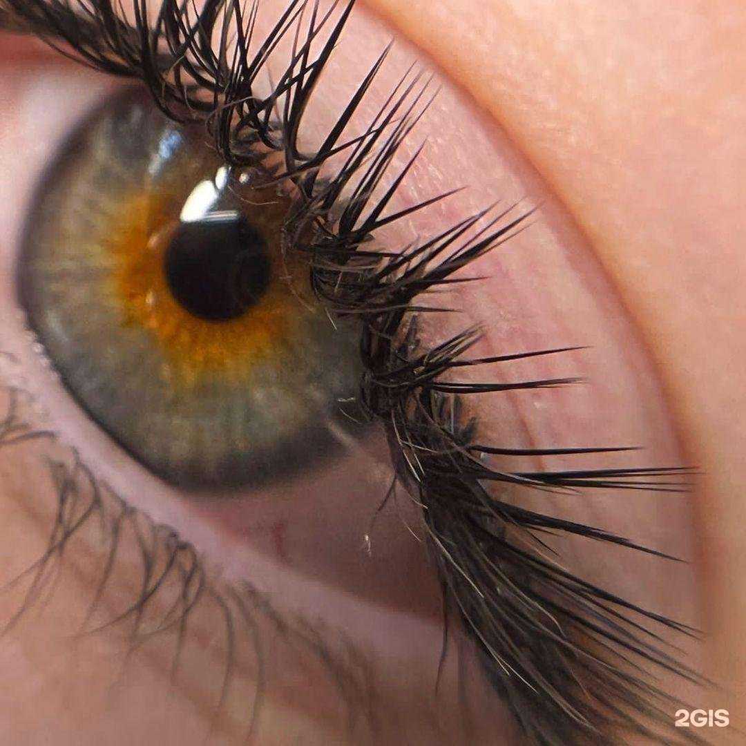 Отзывы на компанию O!LASH в Невинномысске c фото