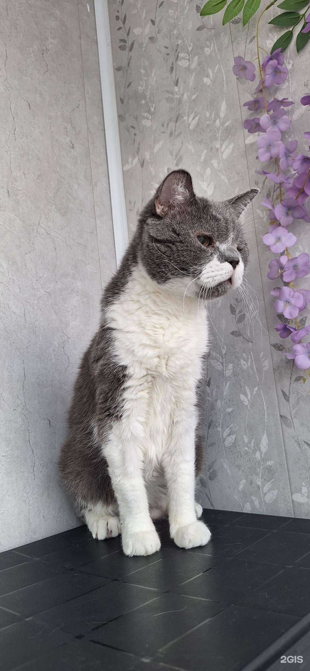 Отзывы на компанию Государственная ветеринарная лечебница в г. Барнаул c фото