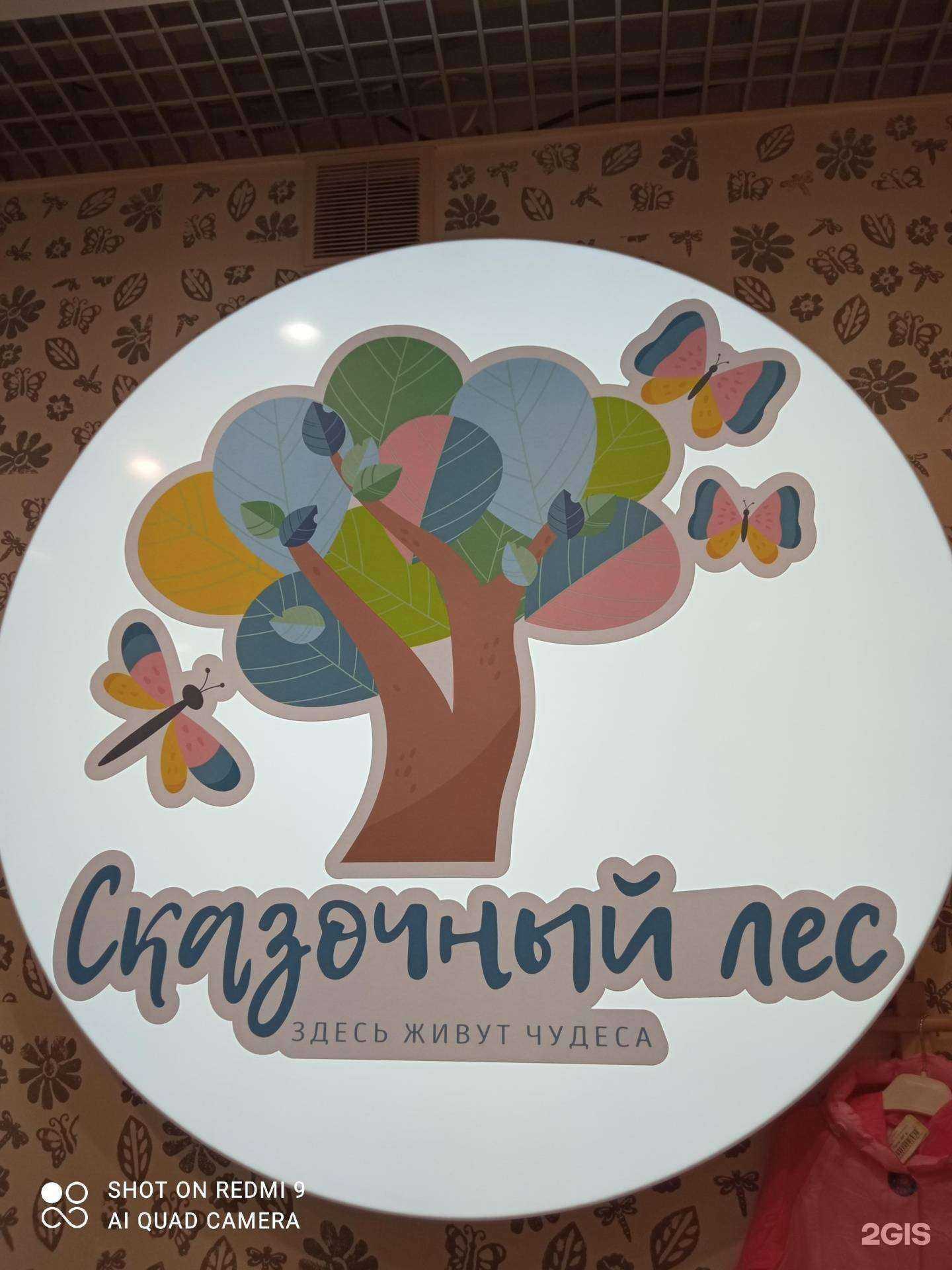 Отзывы на компанию Детский сад №22 в Новосибирске c фото - фотография 2 из 2