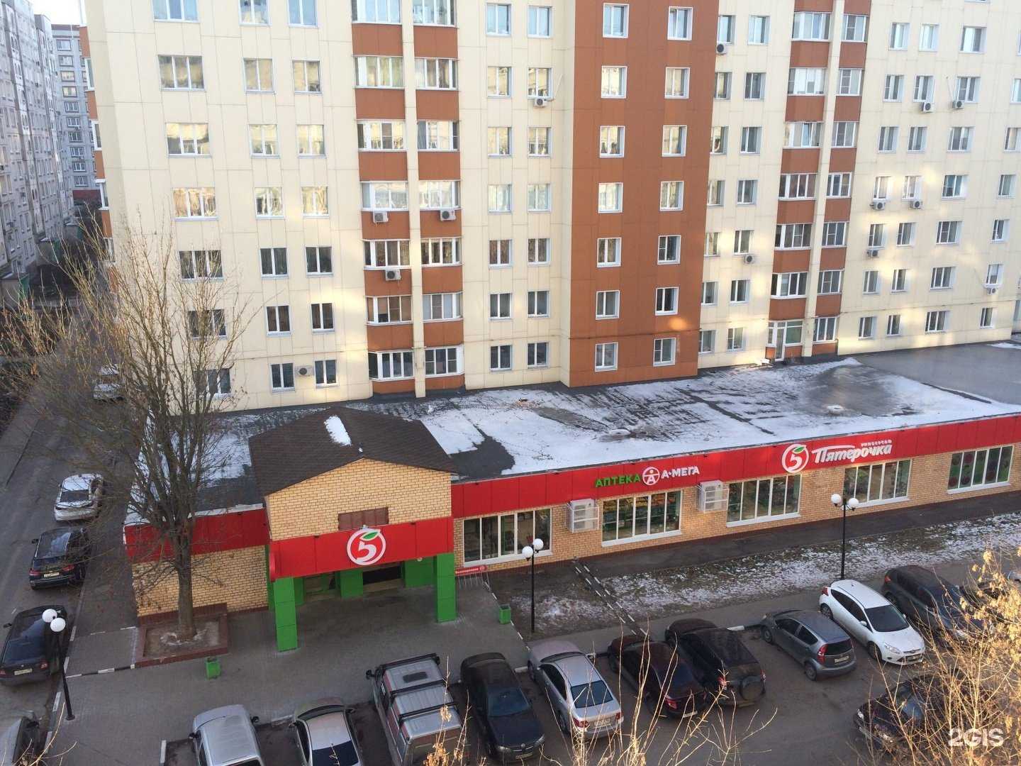 Отзывы на компанию Джунгли в г. Коломна c фото