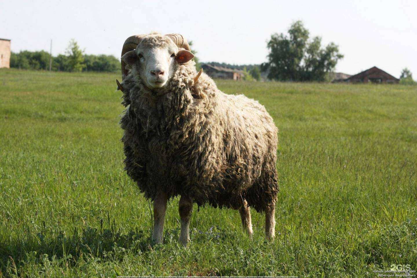 Отзывы на компанию Азимут Радиокоммуникации в Самаре c фото