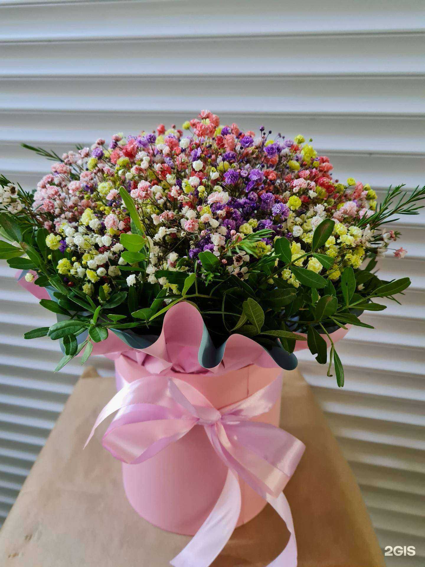 Отзывы на компанию Светлана в г. Калининград c фото