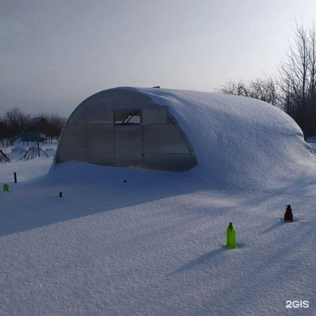 Отзывы на компанию Бамбук в г. Пенза c фото