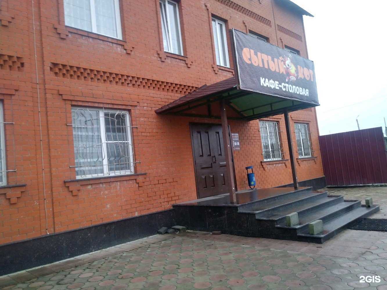 Отзывы на компанию Сытый кот в г. Курск c фото