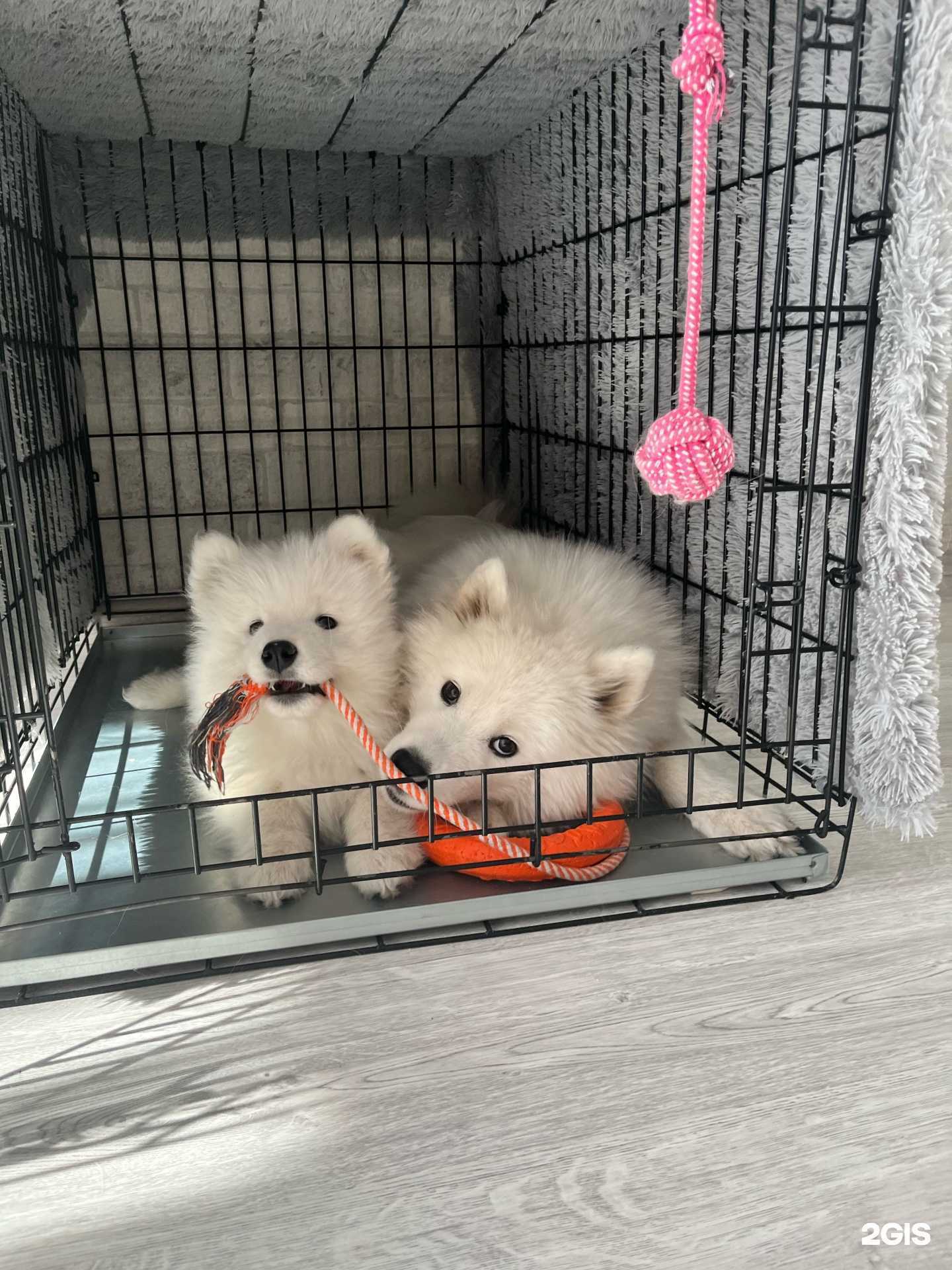 Отзывы на компанию Фимка в Омске c фото