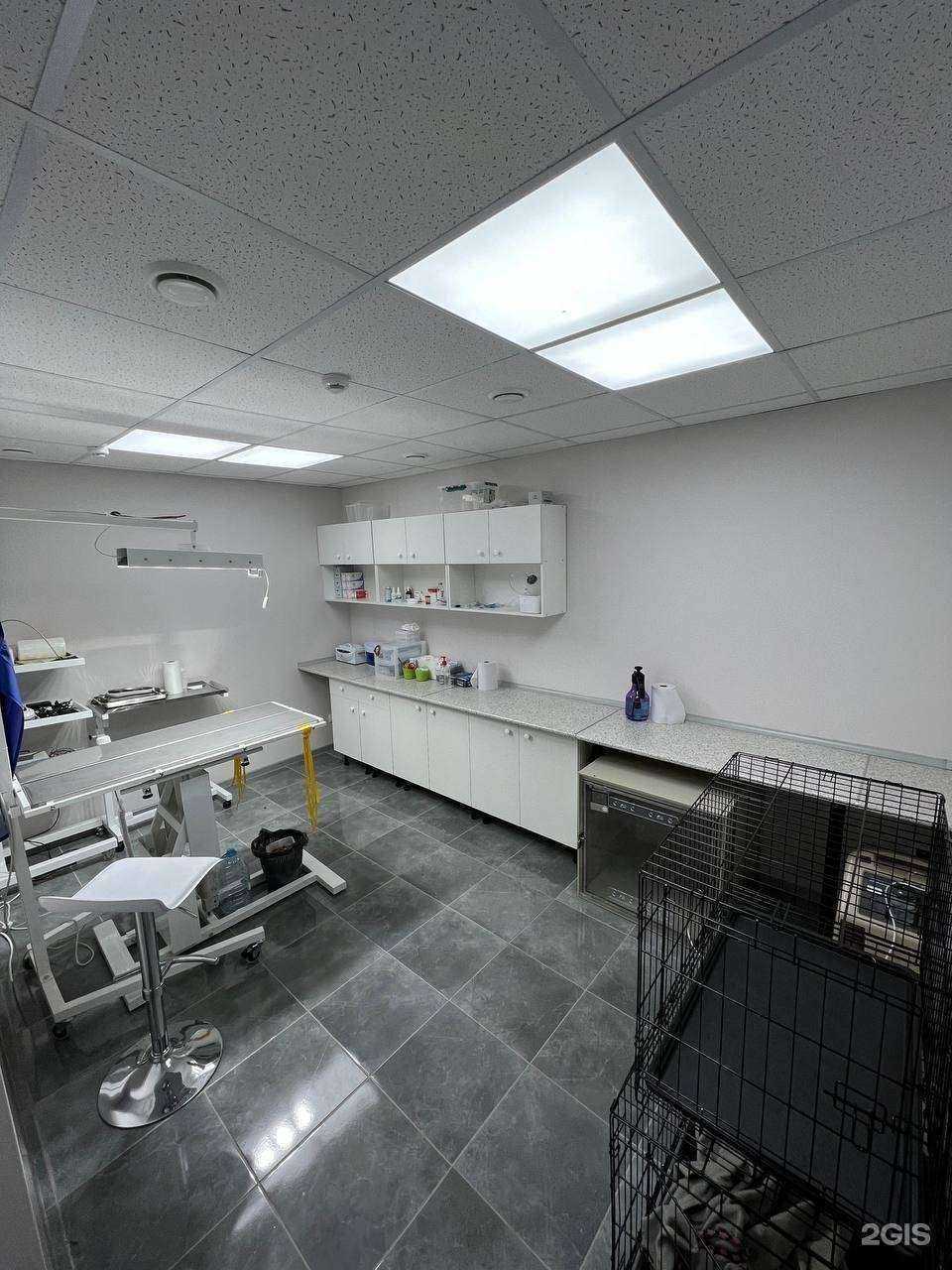 Отзывы на компанию Зоовет36-Юго-Запад в г. Воронеж c фото