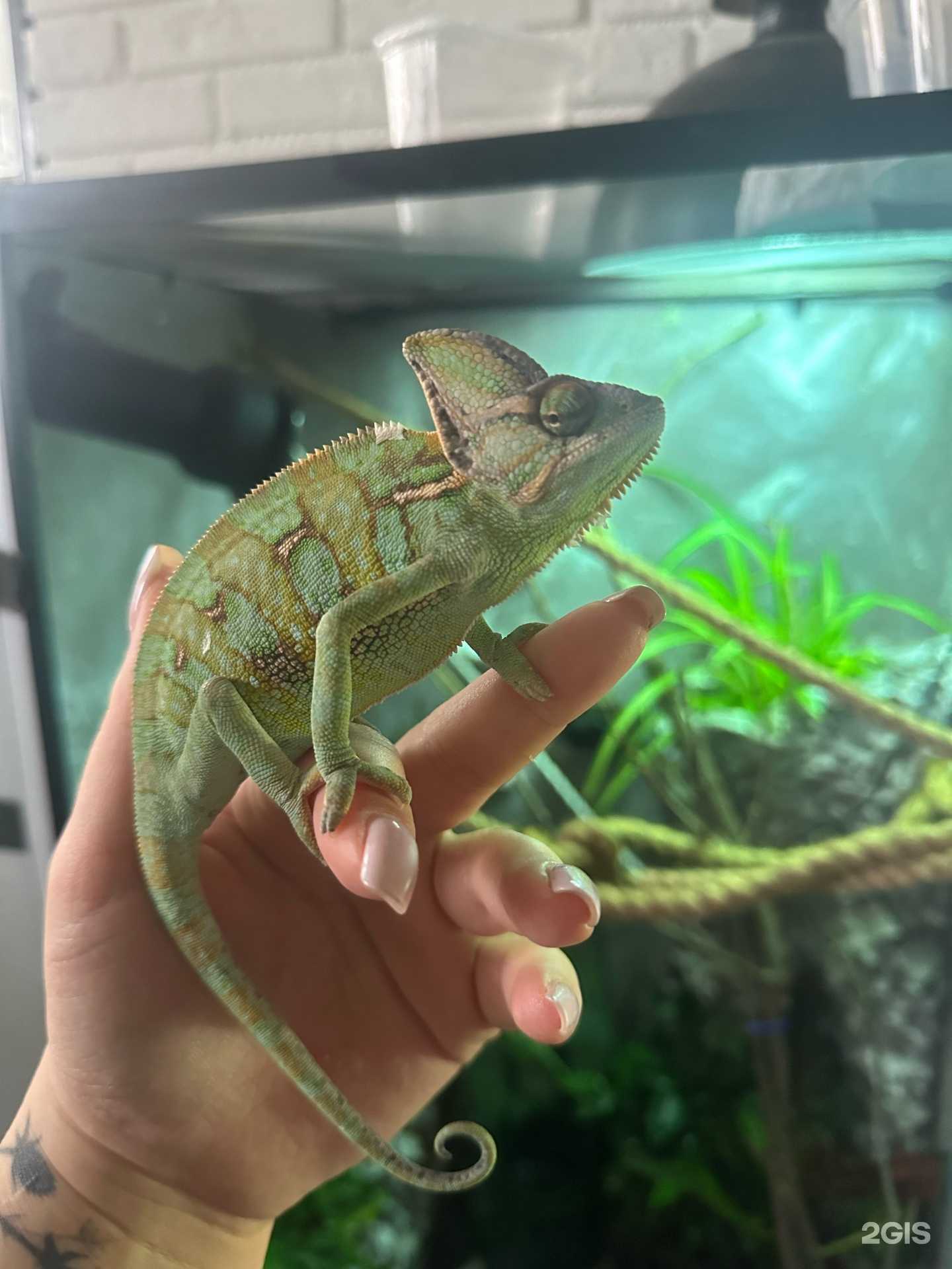 Отзывы на компанию Череночная в Самаре c фото