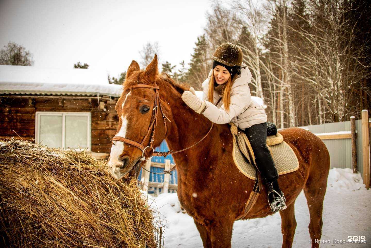 Отзывы на компанию МИР в г. Екатеринбург c фото
