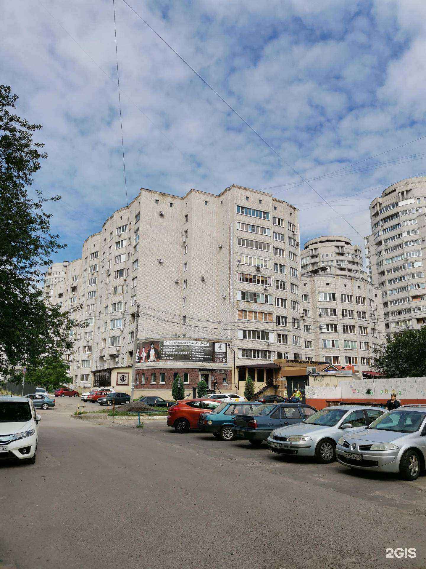 Отзывы на компанию ЕвроВет в Воронеже c фото - фотография 2 из 2