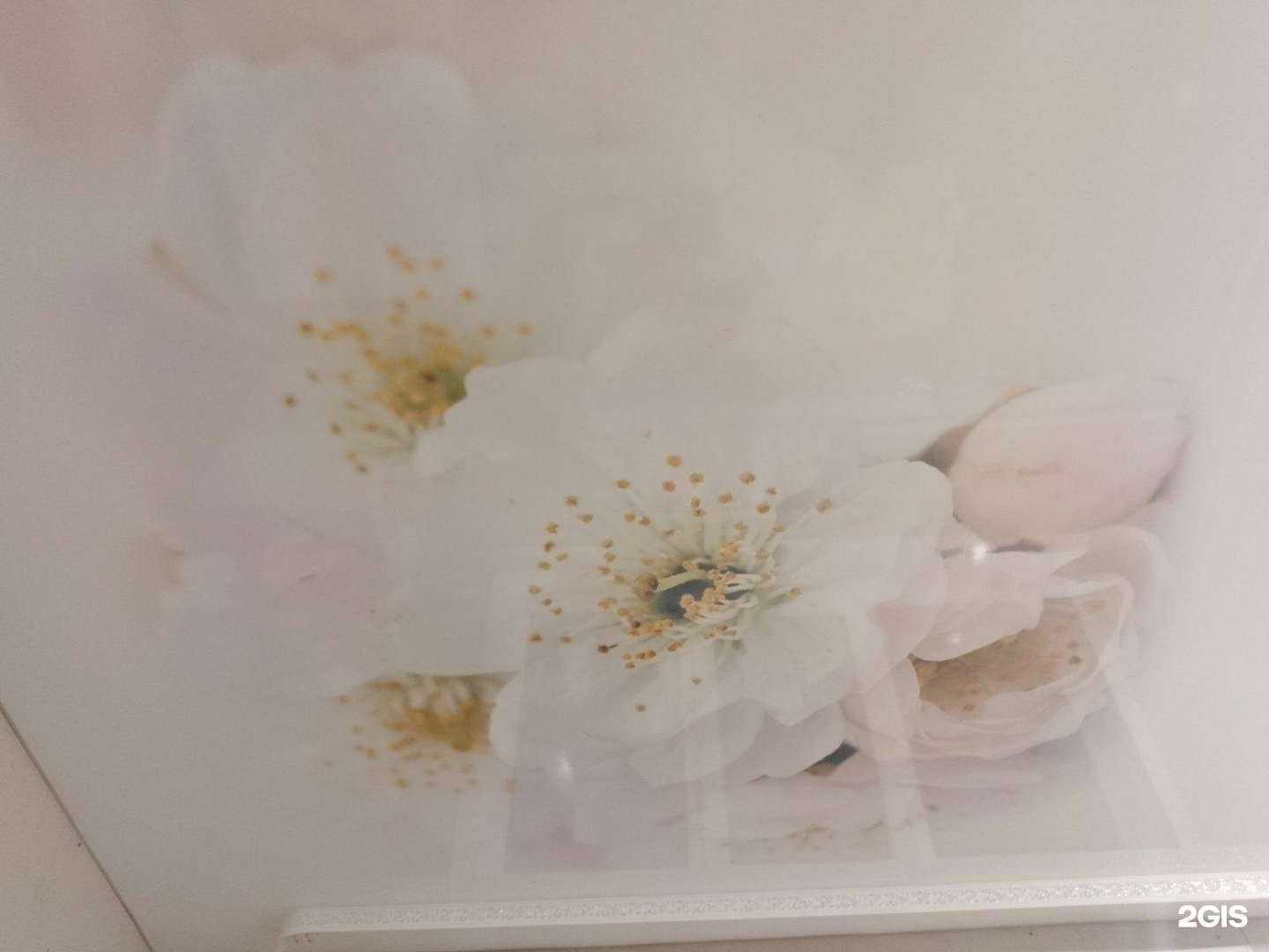 Отзывы на компанию Центр потолков в Чите c фото