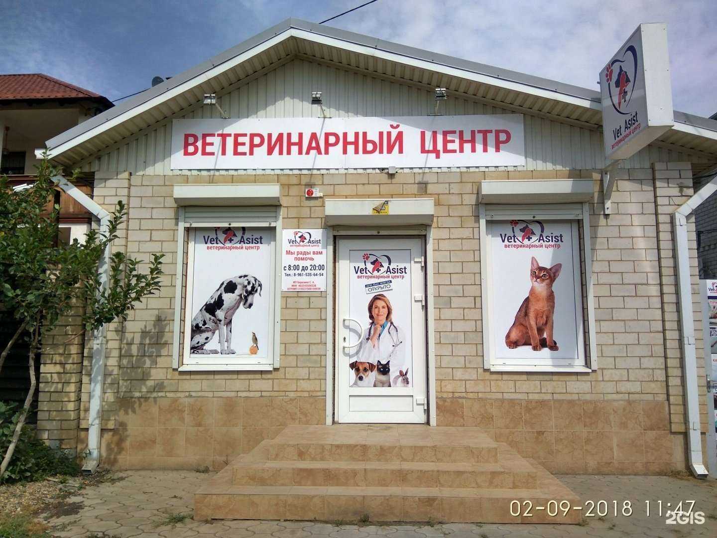 Отзывы на компанию VetAsist в Краснодаре c фото - фотография 2 из 2