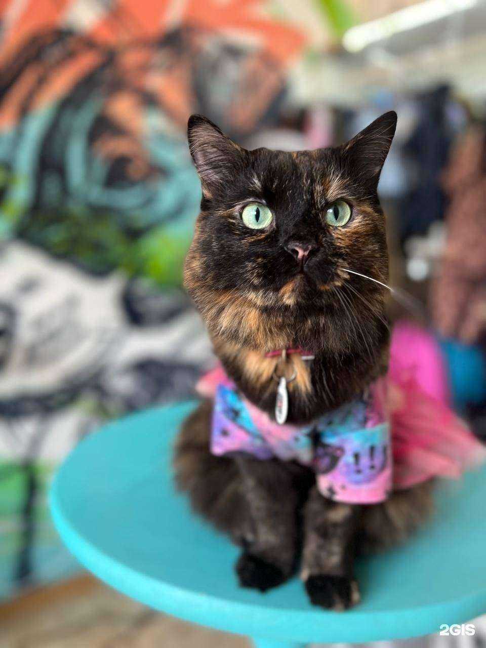 Отзывы на компанию ГрумЧик в г. Ростов-на-Дону c фото