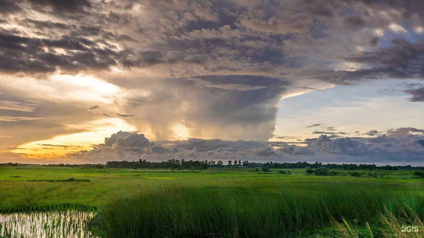 Отзывы на компанию Непрерывное профессиональное образование в г. Йошкар-Ола c фото