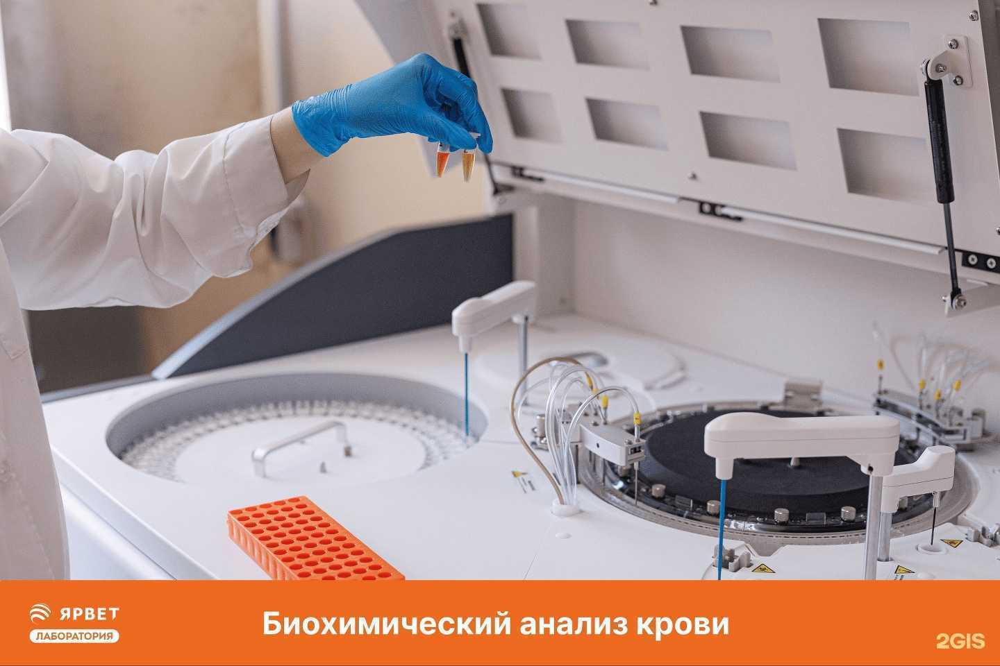 Отзывы на компанию Ярвет в г. Ярославль c фото