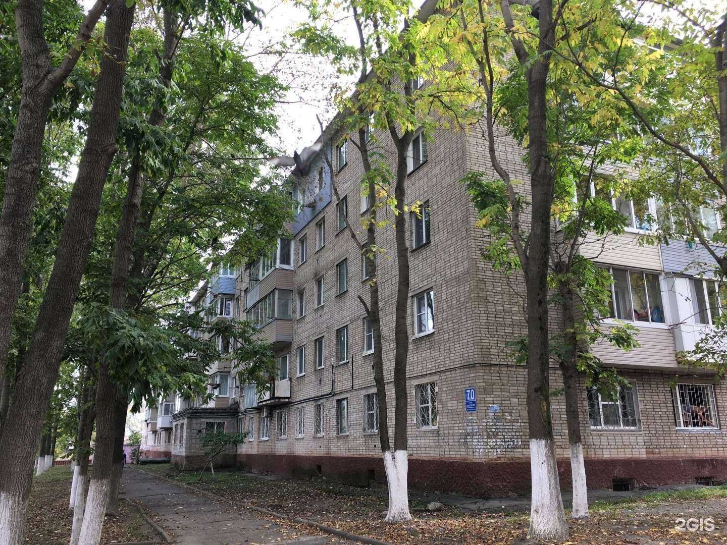 Отзывы на компанию Ваш Дом в Владивостоке c фото - фотография 2 из 2