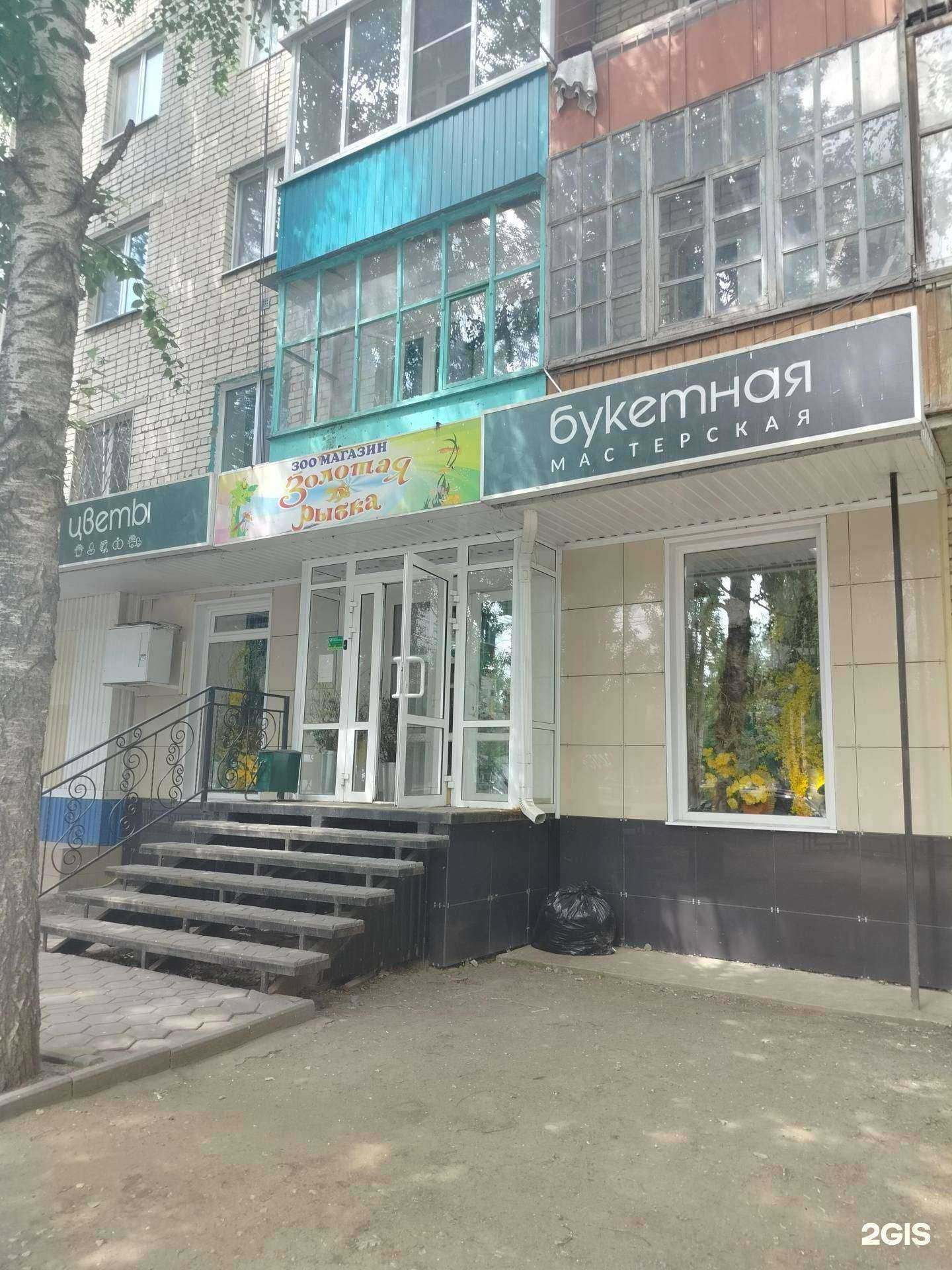 Отзывы на компанию Золотая рыбка в Балакове c фото