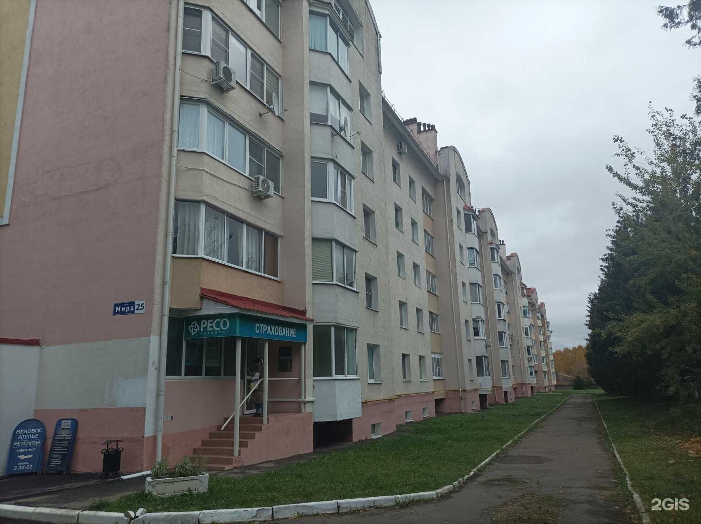 Отзывы на компанию Пудель в Клине c фото - фотография 2 из 2