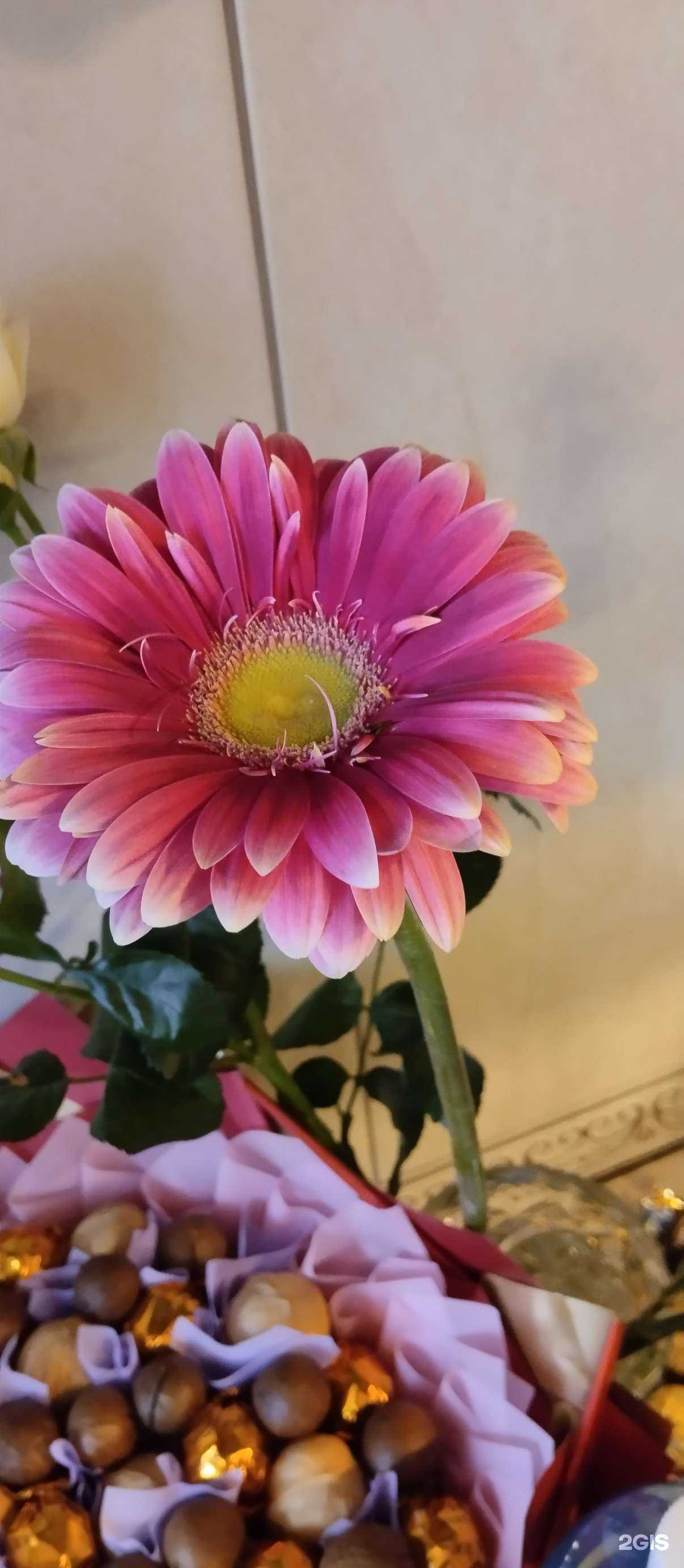 Отзывы на компанию Floflowers в Новосибирске c фото