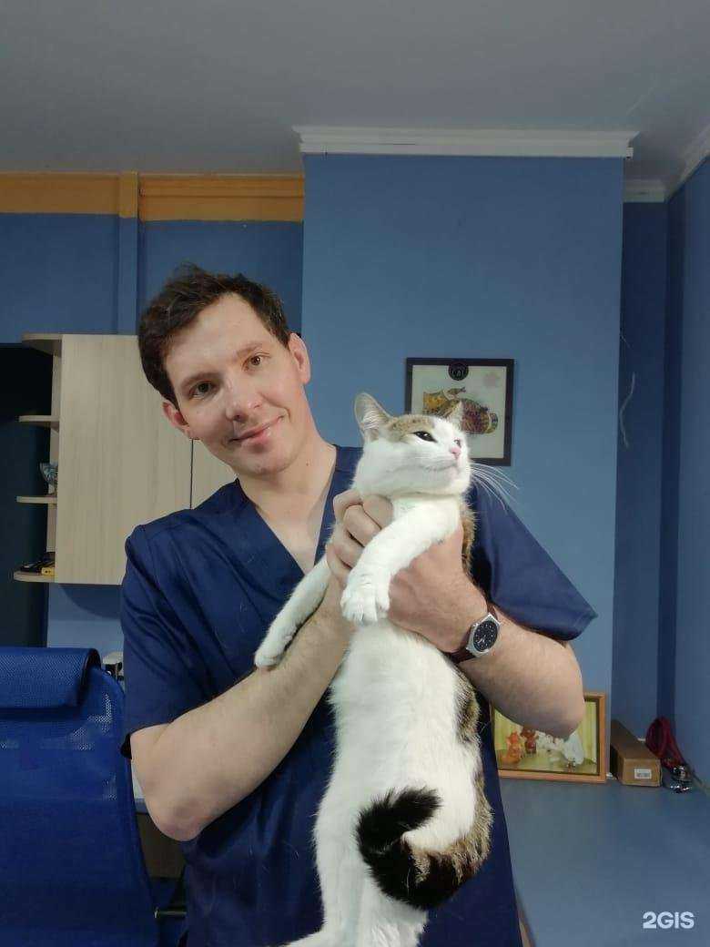 Отзывы на компанию Добрый ветеринар в Ульяновске c фото