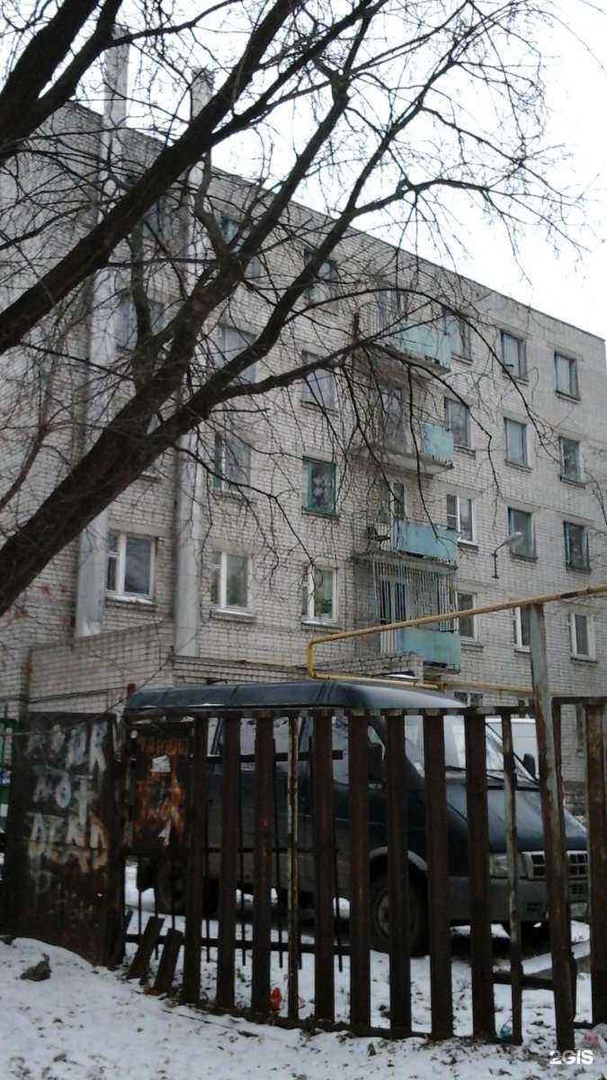 Отзывы на компанию Медведь в Рязани c фото - фотография 2 из 2