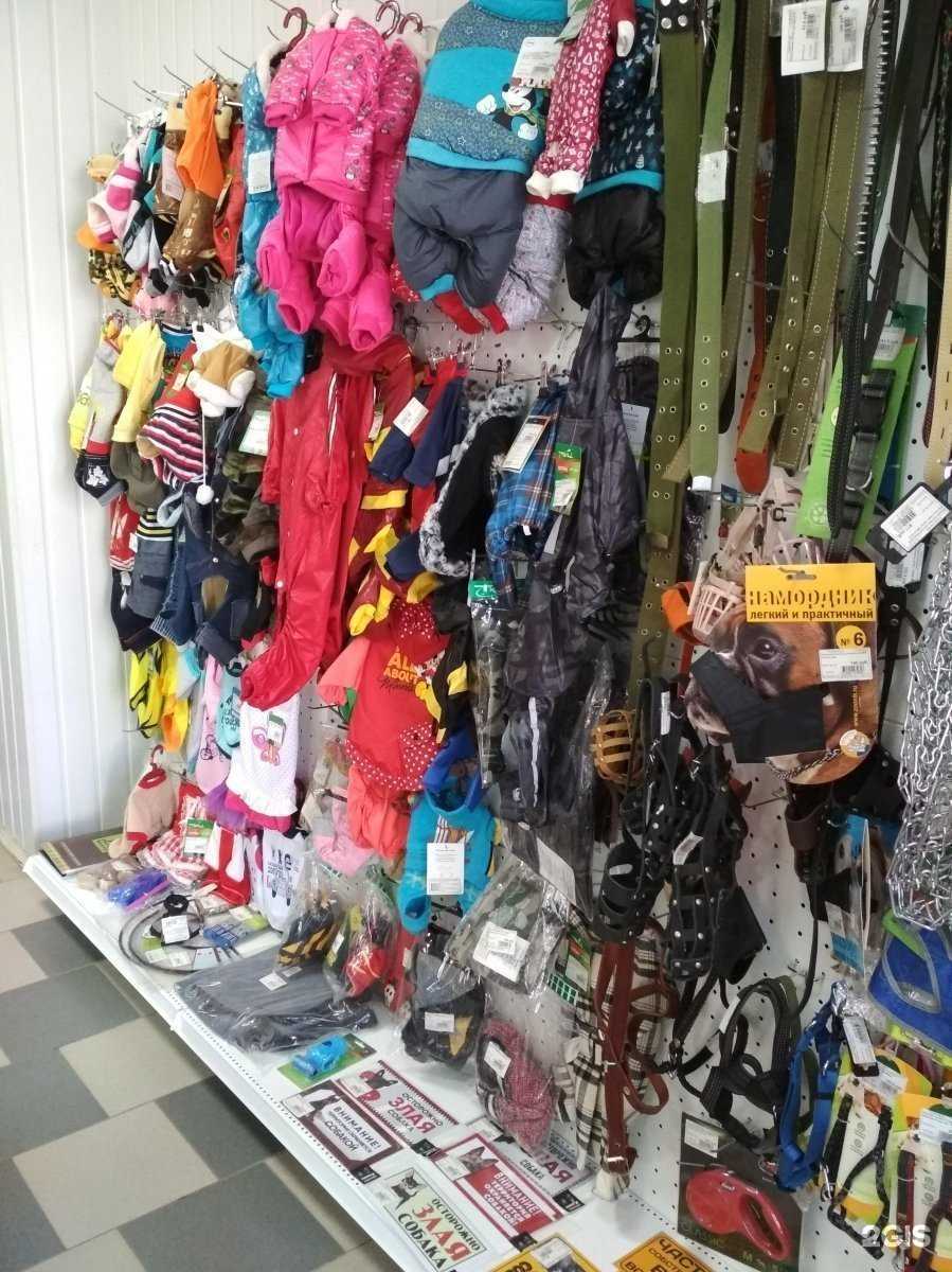 Отзывы на компанию Кошки мышки в Воронеже c фото