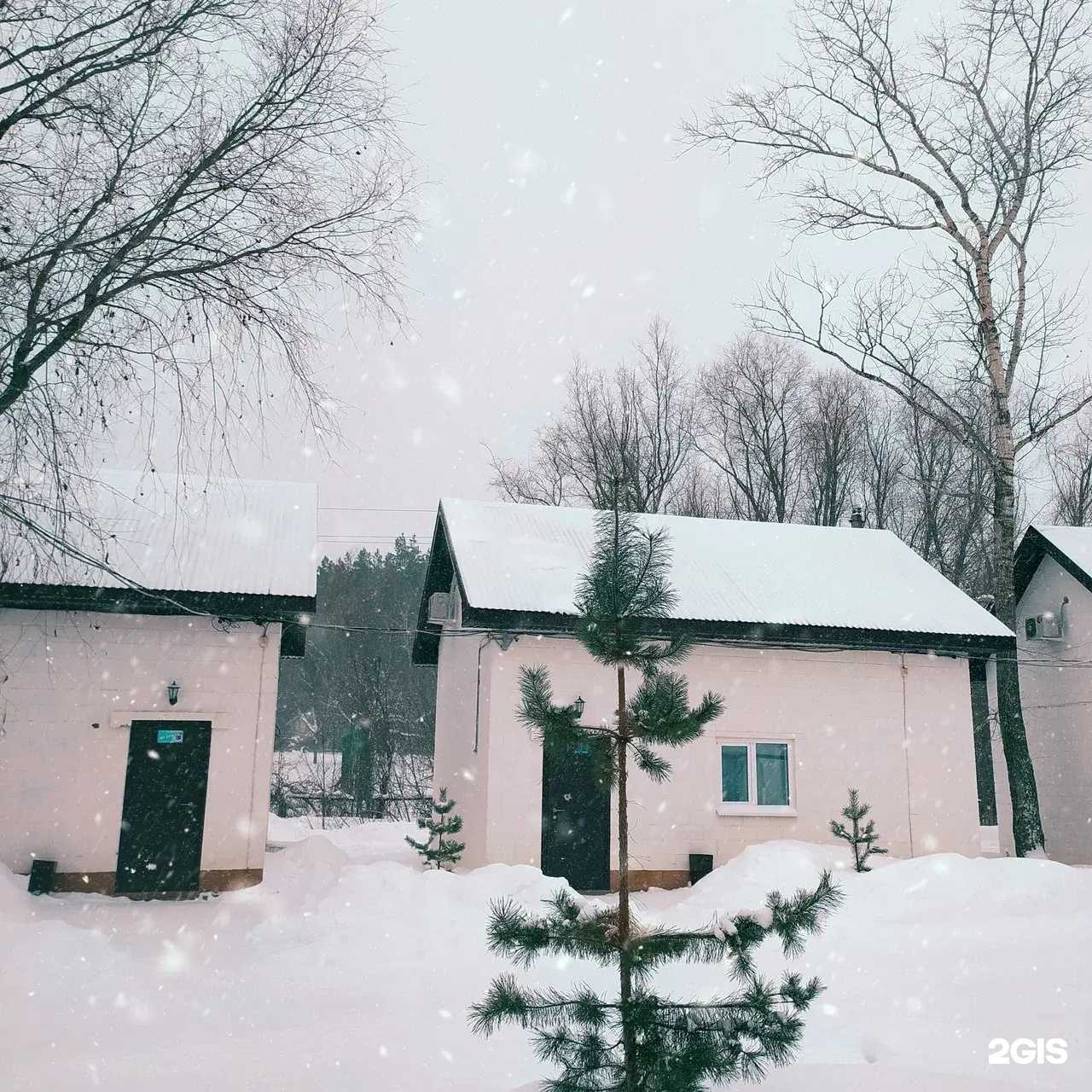 Отзывы на компанию 12 месяцев везения в Самаре c фото