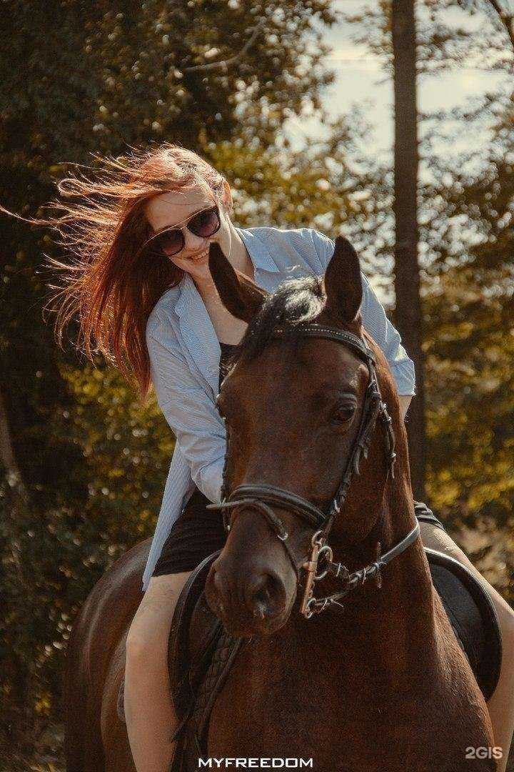 Отзывы на компанию Российские Ипподромы в Новосибирске c фото