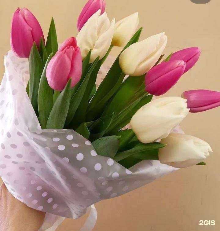 Отзывы на компанию Магазин цветов в Астрахани c фото