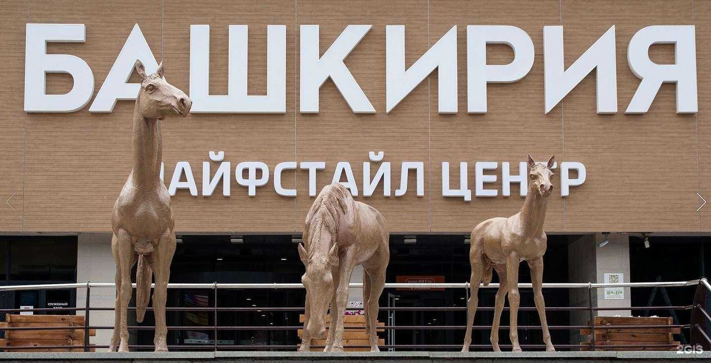 Отзывы на компанию Carlos`Club в Уфе c фото