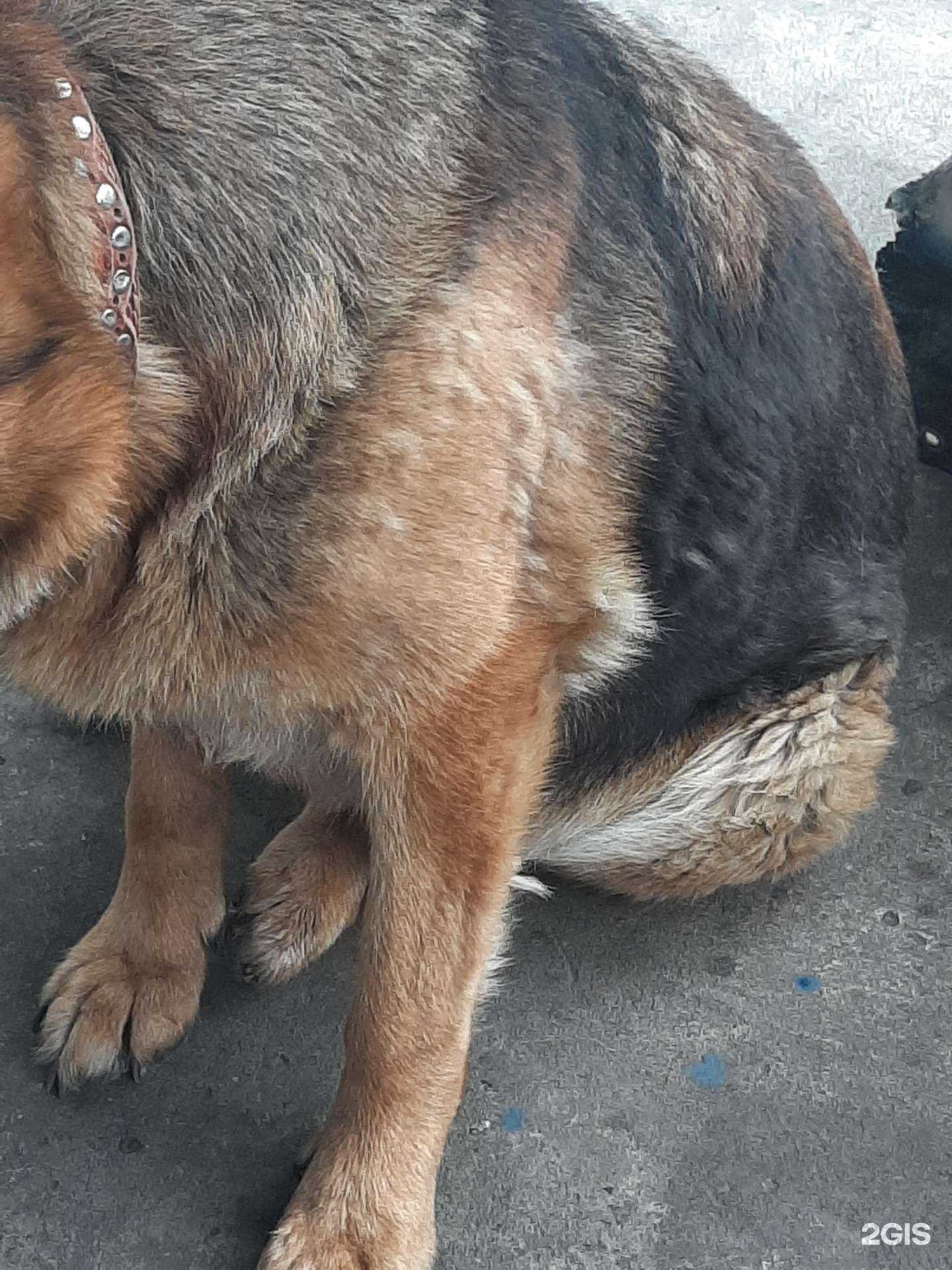 Отзывы на компанию Tatiana Zalutskaya в Бийске c фото