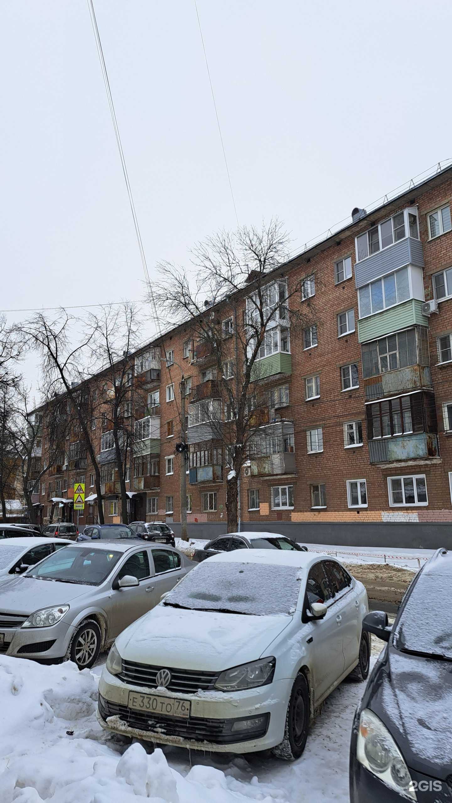 Отзывы на компанию Первый Цветочный Супермаркет в Ярославле c фото - фотография 2 из 2