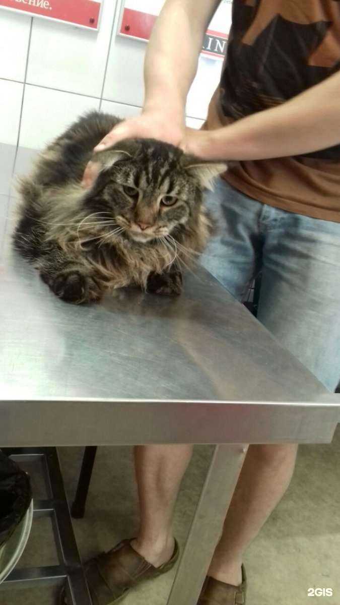 Отзывы на компанию Римпин в г. Воронеж c фото