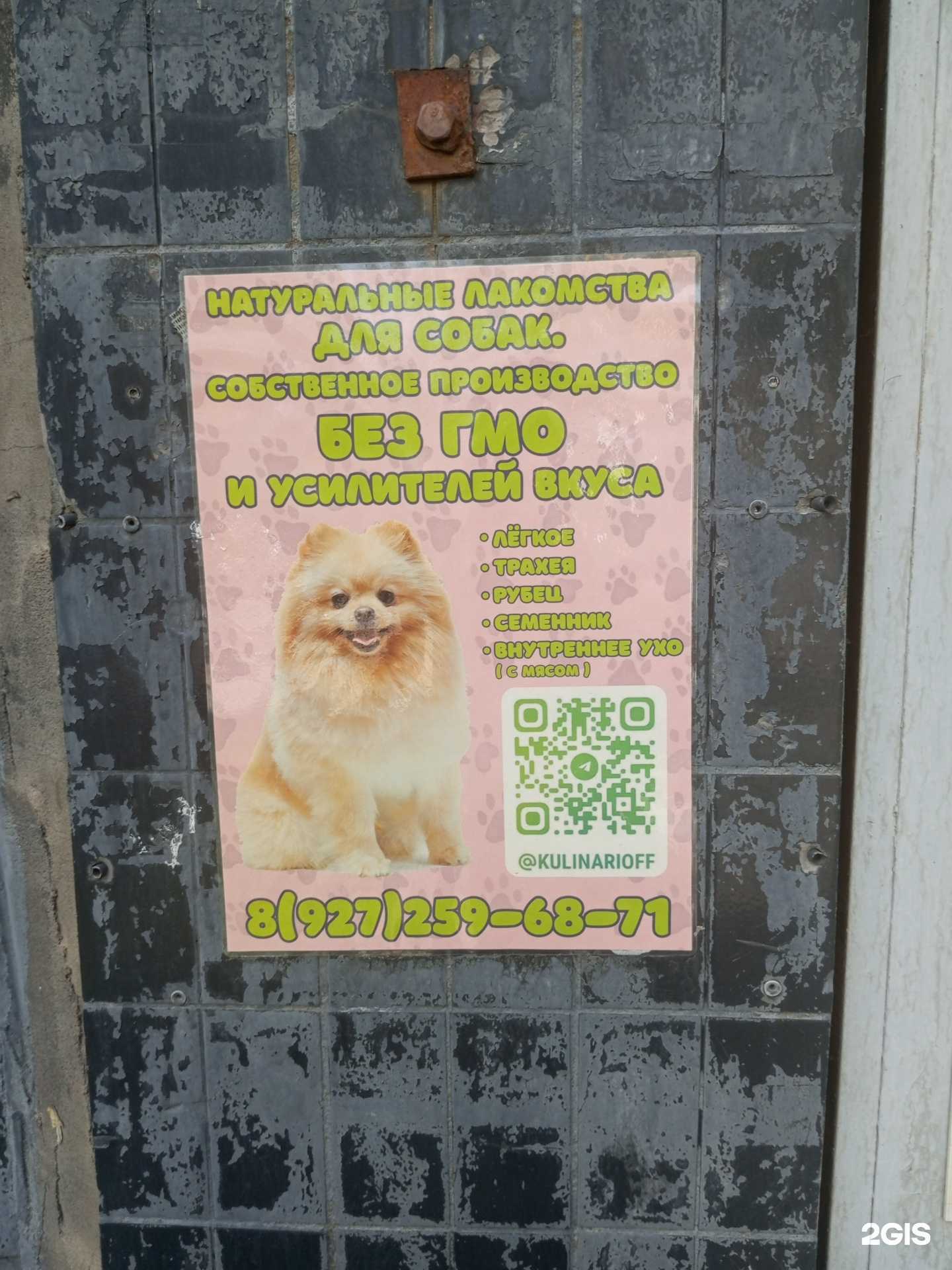 Отзывы на компанию Зоомагазин в г. Волгоград c фото