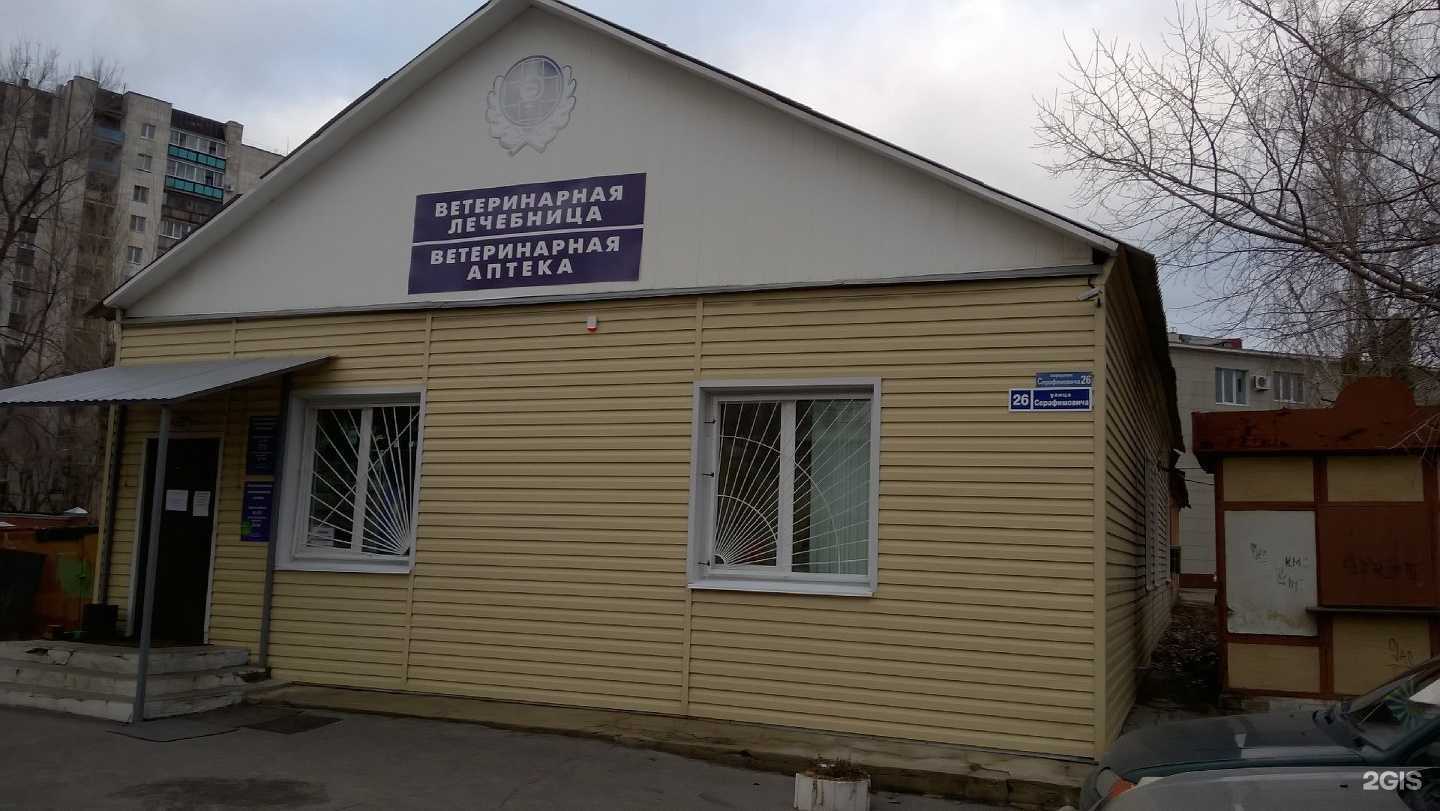 Отзывы на компанию Воронежская городская станция по борьбе с болезнями животных в г. Воронеж c фото