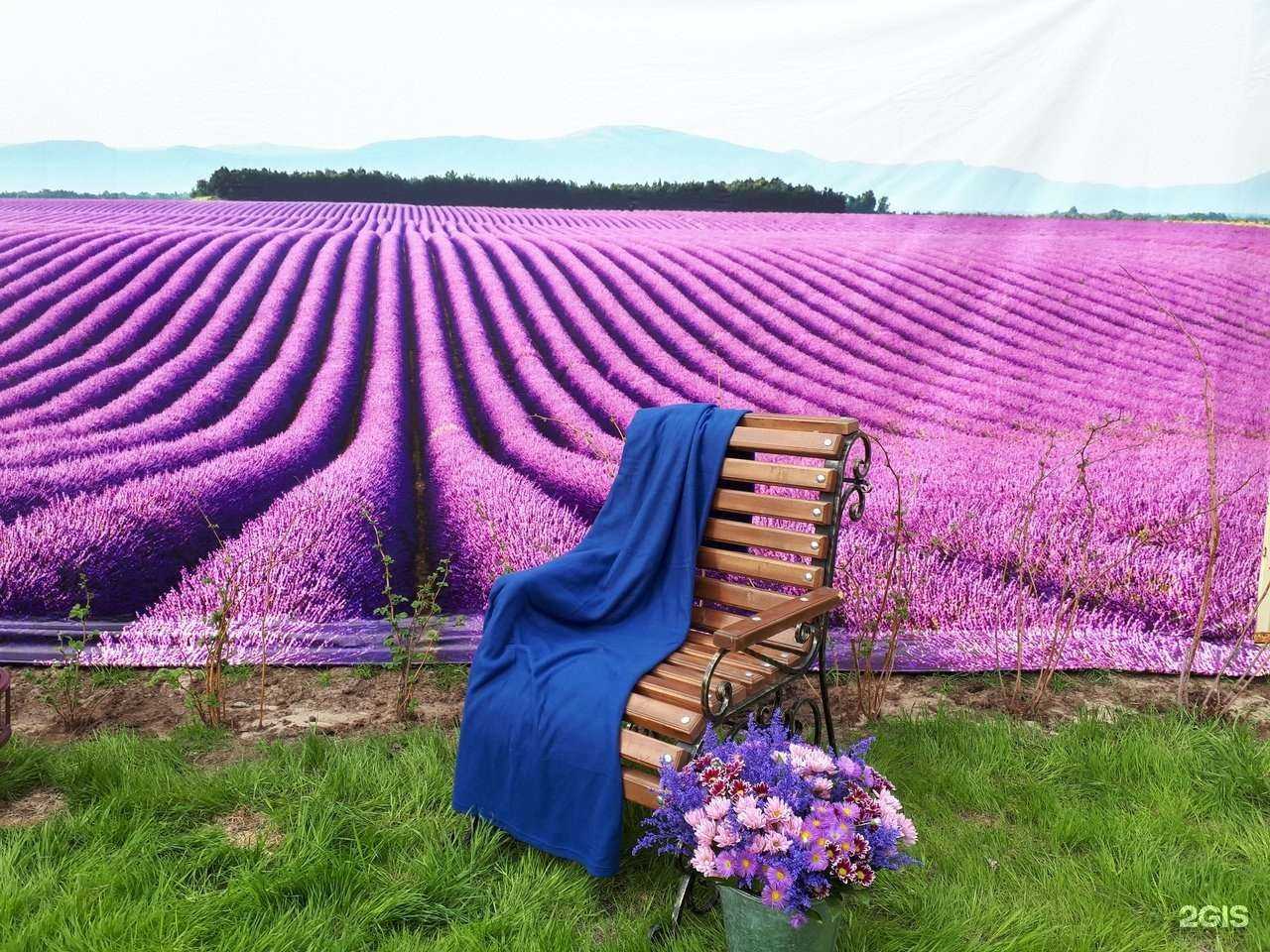 Отзывы на компанию Реал арт в г. Нижневартовск c фото