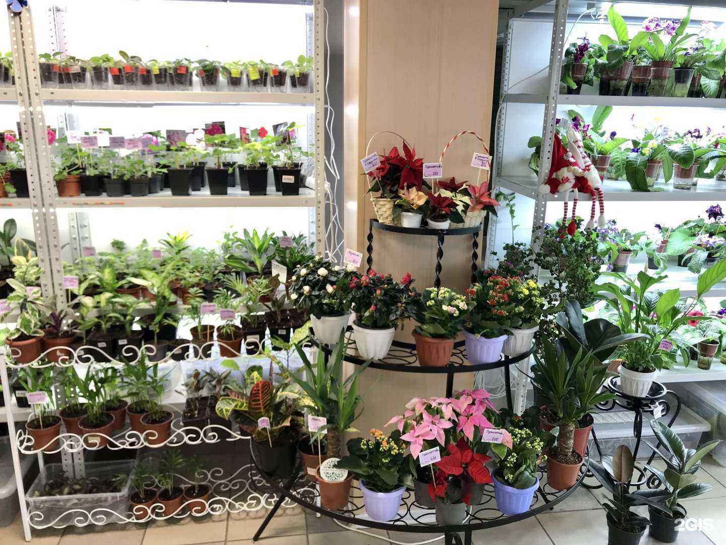 Отзывы на компанию По Цветы в г. Магнитогорск c фото