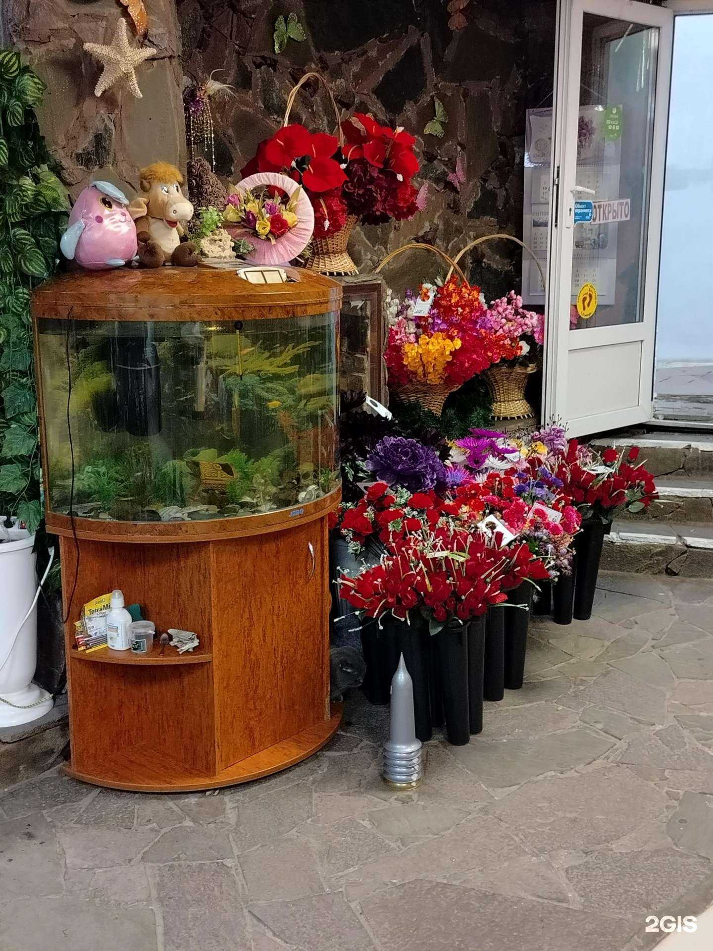 Отзывы на компанию Цветолюб в Люберцах c фото