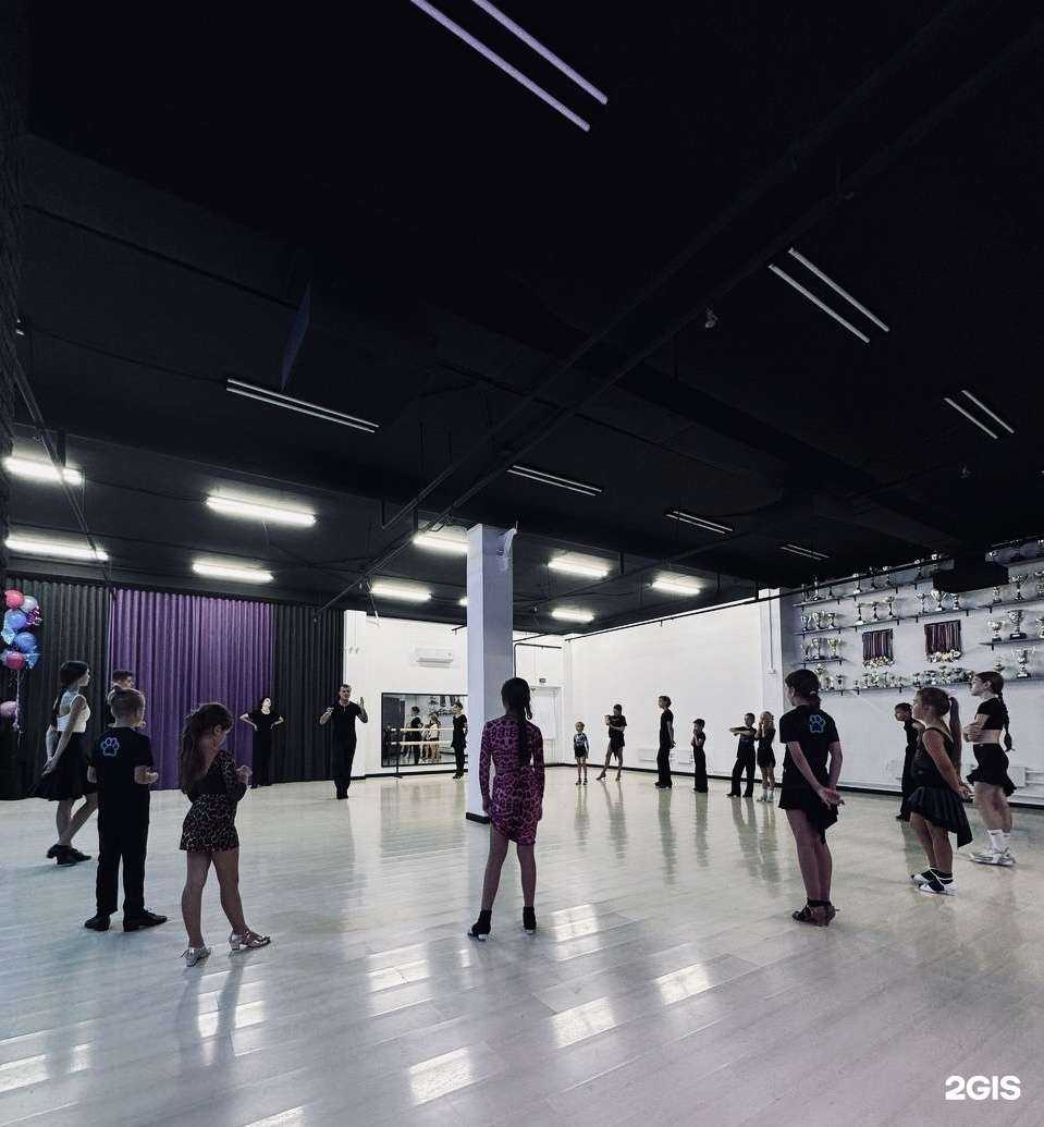 Отзывы на компанию Kuzin Dance Family в г. Тольятти c фото