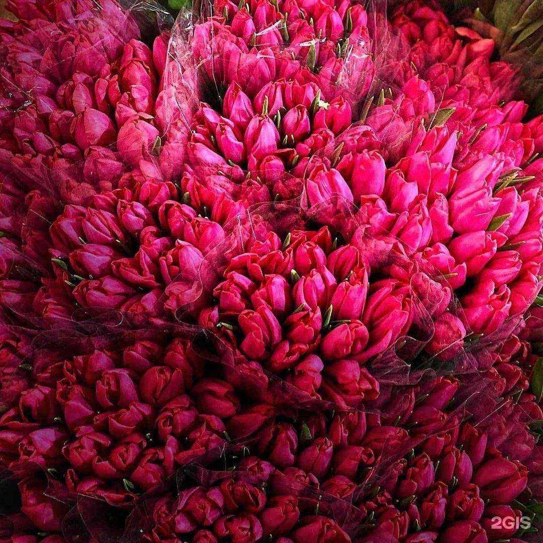 Отзывы на компанию Букет Экзотик в г. Новый Уренгой c фото