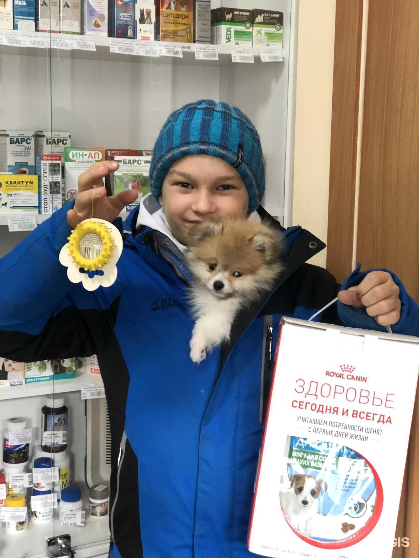 Отзывы на компанию Здоровый Питомец в Челябинске c фото