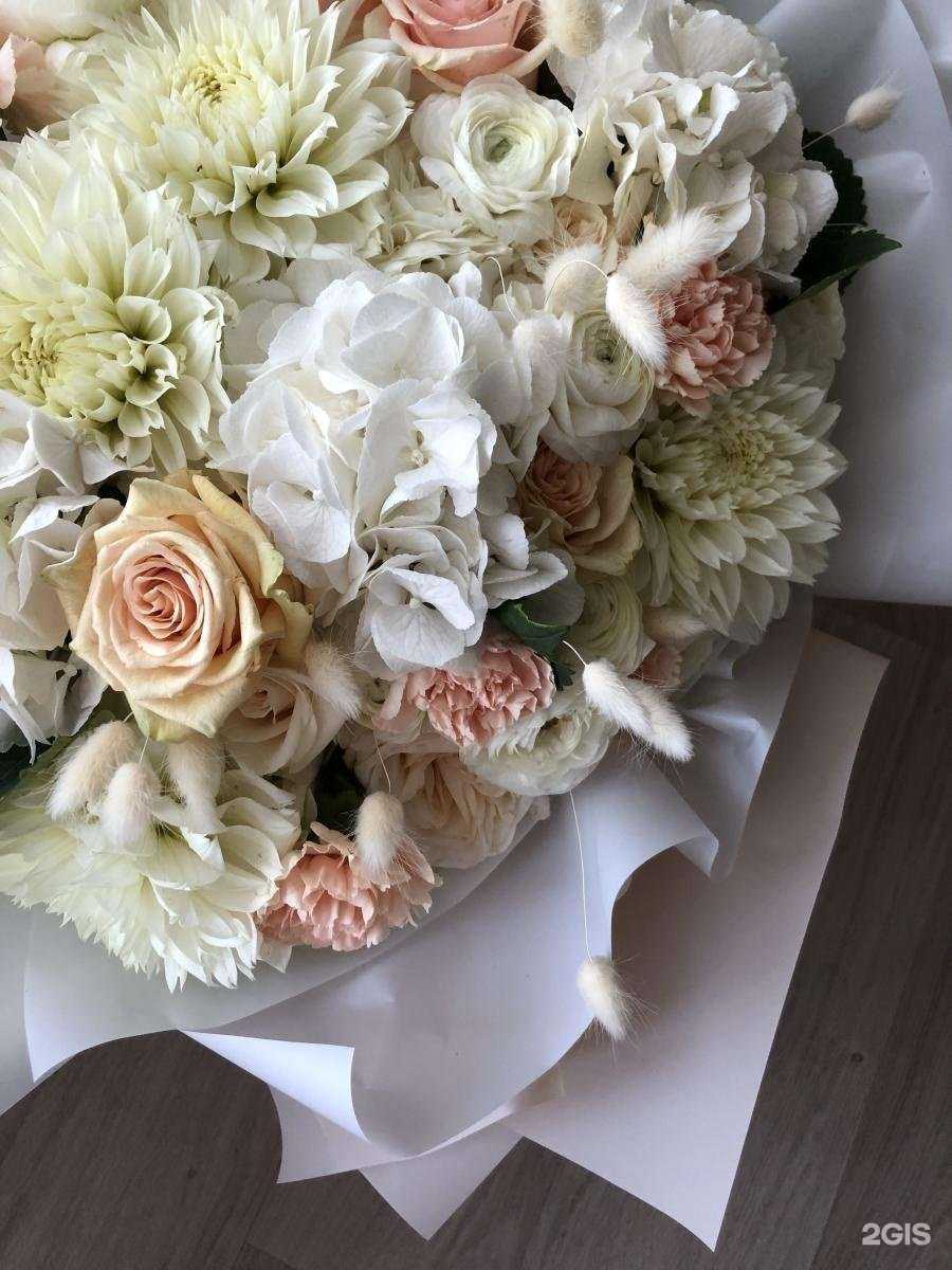 Отзывы на компанию Шелли-Холл в г. Кемерово c фото