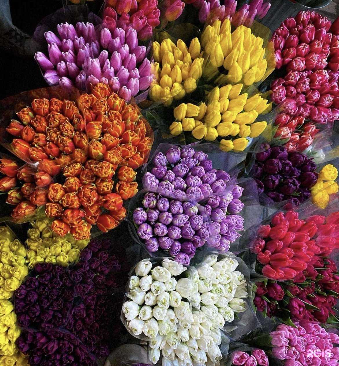 Отзывы на компанию Цветочный магазин в г. Геленджик c фото